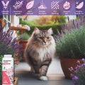 Cat Dry Shampoo Powder with Lavender and Rosemary for Cats 5.29 fl. oz| Grooming for Cat | Kitten Sensitive Skin | Clean