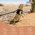 Bearded Dragon Harness & Leash Set, Escape-Proof, 3 Pack (S/M/L)，Black