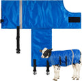 Dunzy 4 Pcs Calf Blanket Calf Coat Jacket Foal Blanket Warming Waterproof Windproof Saver Livestock for Cows Goats