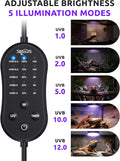 SEAOURA UVB Light for Reptiles with Dimming (Black)