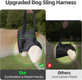Dog Sling for Large Dogs Hind Leg Support, Adjustable Soft Padded Harness for Weak, Injured, or Disabled Back Legs, Help