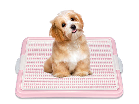 LYNNINME Dog Pee Pad Holder Tray, Puppy Potty Training, 22.5"x16.5", PP Plastic, Snap Lock, 4 Colors (Pink)