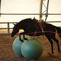 Parelli Green 42" - 44" Durable Inflatable Bright Bouncing Ball | Equine Training & Play Tool - Pony & Horse Toy for Cur