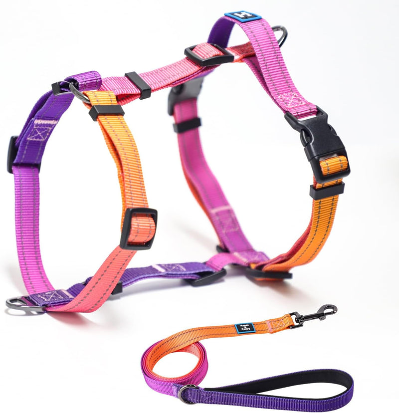 Roses&Poetry Small Dog Harness and Leash Set, No Pull Dog Harness Adjustable Reflective, Dog Vest Harnesses Comfort Padd