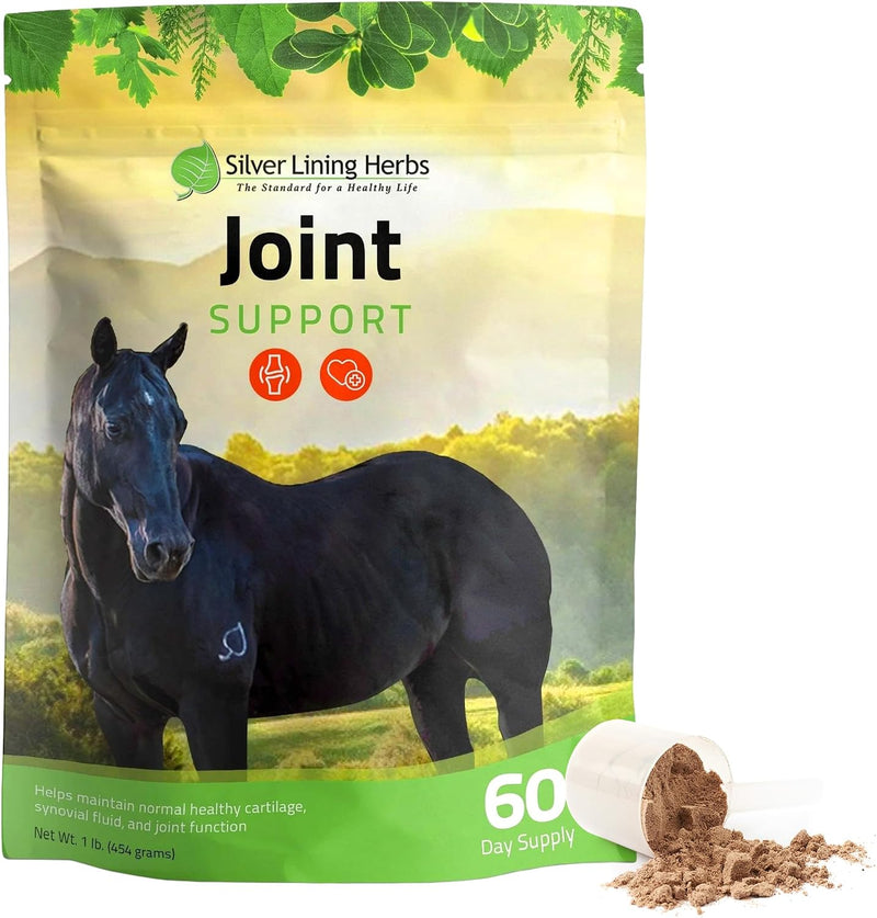 Silver Lining Herbs Horse Joint Supplement - Mobility & Comfort