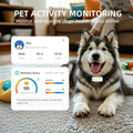 DBDD GPS Dog Trackers, 12-Mo Sub, Real-Time Loc, E-Fence, Health Monitor