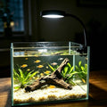 Carefree Fish Aquarium Clip On Plant Light 7W for 1~5Gal Frameless Tank