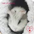 LEFTSTARER Guinea Pig Accessories Sugar Glider Cage Accessories Hamster Rat Toys Ferret Hammock Hanging Tunnel for Small