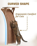 JKXJKX 47" Floor Standing Cat Window Perch with Curved Scratching Ramp, 80 Lbs Heavy Duty Window Bed Seat with Suction C