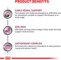 ROYAL CANIN Veterinary Renal Support Early Consult Dog Food, 5.2 oz, 24-Pk