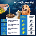 Wild Alaskan Salmon Oil for Dogs & Cats - Pure Liquid Fish Oil Skin Coat Supplement with Omega 3 6 9 Food Topper, Dry It