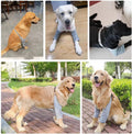 MANON ROSA Dog Elbow Pads – Knee Wrap Front Leg Sleeves for Large Dogs, Wound Protection & Anti-Licking Brace for Injure
