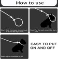 6FT Heavy Duty Slip Lead - No Pull Dog Training Leash, Comfortable & Lightweight, Suitable for Small to Medium Dogs (Black)