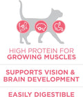 Purina ONE High Protein, Natural Dry Kitten Food, +Plus Healthy Kitten Formula - 7 lb. Bag