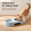 Pet Food and Water Bowl, Double Feeding Bowls, Small Grey, for Cats and Small Dogs, Portable Pet Accessories