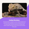 Fluker’s Grub Bag All Natural Calcium Fortified Mealworm Treats, Packed with Protein, Rich in Nutrients, A Reptile Favor