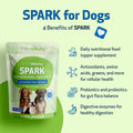 Pet Wellbeing Spark Daily Nutritional Greens Superfood for Dogs & Cats - Probiotics, Prebiotics, Digestive Enzymes, Amino Acids, Antioxidants, Vitamin D, Spirulina - Vet-Formulated 3.53 oz (100 g)