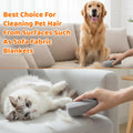 Yolev 2 Pcs Pet Hair Remover Grey Pumice Stone for Dog Cat Tool Fur Removal Cleaning Block Remover Stone for Car Interior Furniture Bedding Carpet（3.94 x 1.97 x 1.38in）