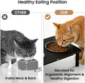 Adjustable Elevated Cat Bowls,6°/12° Tilted Cat Bowl Stand Anti-Vomiting