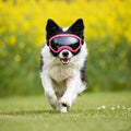 Dog Goggles for Medium Large Breed UV Protection Windproof Anti-Fog Eyewear