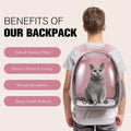 Cat Carrier Backpack, Pet Carrier Backpack Front Pack for Small Medium Cat Puppy Dog Carrier Backpack Bag Space Capsule, Airline-Approved Pet Carrier for Travel Hiking Walking Camping (Pink)