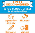 ThunderEase Dog Calming Pheromone Diffuser Refill | Powered by ADAPTIL | Vet Recommended to Relieve Separation Anxiety, Stress Barking and Chewing, and The Fear of Fireworks and Thunderstorms (30 Day