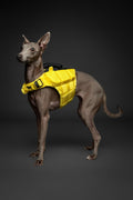 Noah & Paw Dog Life Jacket, 3X Foam Dog Life Vest, Rescue Handle, L 28-32in
