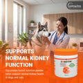 Vetoquinol Epakitin Chitosin-Based Phosphate Binder for Cats & Dogs – Renal Support Supplement Powder - 180g