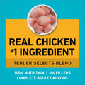 Purina ONE Natural Dry Cat Food, Tender Selects Blend With Real Chicken - 7 lb. Bag