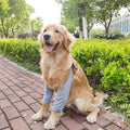 IDOMIK Dog Recovery Suit for Front Legs, Dog Recovery Sleeves,Grey,2XL