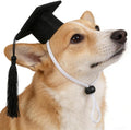 Soochat 2Pcs Mini Graduation Caps with Tassel Small Animal Bachelor Hat Graduation Photo Props Holiday Costume Accessory for Cat Dog (Black)