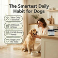Dogbiotics DE-01 Dental Powder for Dogs – Human-Grade Oral Postbiotic, Helps Fight Plaque & Tartar, Supports Gum Health & Fresh Breath – 60 Scoops (2 oz / 60g)