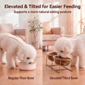 Elevated Dog Bowl Set of 2 - Double Glass Bowls with Gold Iron Stand - Raised Dishes Comfortable Feeding - Ideal for Sma