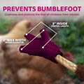 Birdy Bootie Chicken Shoes for Injured Feet – Protective Neoprene Footwear for Chicken, Open-Toe Design for Bumblefoot Relief, Made in USA - Standard, 3" Max. Inside Width, Pink