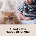 Eye Envy Tear Stain Remover Solution for Cats. Gentle, Natural and Safe. Cleans Tear Stains. Recommended by Breeders, Gr