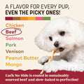 Earth Animal No Hide Stix - Rawhide Free Dog Chews Sticks 20 Count
