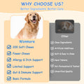 Dog Allergy Chews, Itchy Skin & Paw Licking Support, Probiotics for Dogs, Immune & Gut Health, Seasonal Allergy Formula, Skin & Coat Health, Chicken Flavor Soft Chews, 200 Ct, BlueChampagne