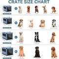 PETSFIT 30" Soft Portable Dog Crate – Patented Spiral Sturdy Frame, Collapsible Travel Kennel for Medium Dogs, 3 Mesh Door, Lockable Zippers, Indoor & Car Use Blue