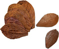 SunGrow 10 Indian Almond (Catappa) Leaves 4″-7″ for Betta Fish – Natural Aquarium Water Conditioner, Adds Tannins, Lower