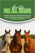 Horse Paste 1.87%, Apple Flavored – 6.08g Oral Gel Syringes (3-Pack) – Adjustable Dosing – for Equine Use Only