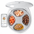 Robotail Automatic Cat Feeder Wet Food, 2026 New Version Smart Dual-Temp Refrigerated Auto Cat Feeder with Semiconductor Cooling & Pre-Heating, 4 Fresh Meals in 4 Days, App-Controlled, Easy to Clean