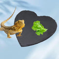 Reptile Basking Platform, 7.9 × 7.9 inch Tortoise Rock Plate, Heart Shape Natural Rock Reptile Food Dish, Turtle Feeding