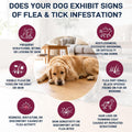 Flea & Tick Liquid Drops for Dogs, Oral Drops, Easy-to-Use Liquid Formula for Dogs