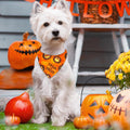 Preboun 50 Pcs Halloween Dog Bandanas Bulk, Pumpkin Ghost Bat Spider Web