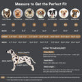 Queenmore Winter Dog Jackets for Medium Dogs with Harness Built-in