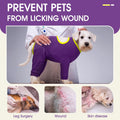 IDOMIK Dog Recovery Suit, Full Body Surgical Onesie Anti Licking,Purple,XL