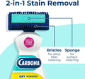 Carbona 2-in-1 Oxy-Powered Pet Stain & Odor Remover, 22 Fl Oz