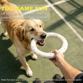 2 Pack Dog Ring Toys for Outdoor Play, Durable Soft Flying Disc for Throwing Catching Grabbing, Water Floating Dog Frisb