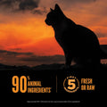 ORIJEN Wild Reserve Dry Cat Food Free-Run Chicken & Wild-Caught 6.5lb Bag
