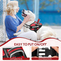 Service Dog Vest Harness and Leash Set, Animire in Training Dog Harness with 10 Dog Patches, Reflective Dog Leash with S